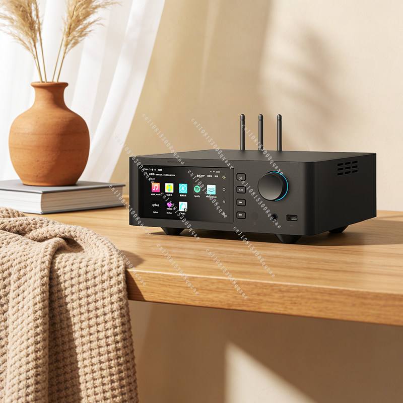 Lecteur de musique sans perte  - Dac Streamer Network Player avis et prix